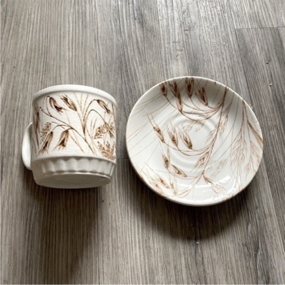 Vintage 70’s WILD OATS English Ironstone hand engraved tea cup & saucer set.